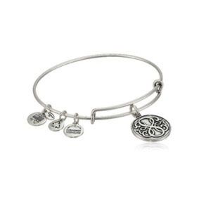🎈Alex & Ani Path of Life charm Bracelet bangle in silver finish
